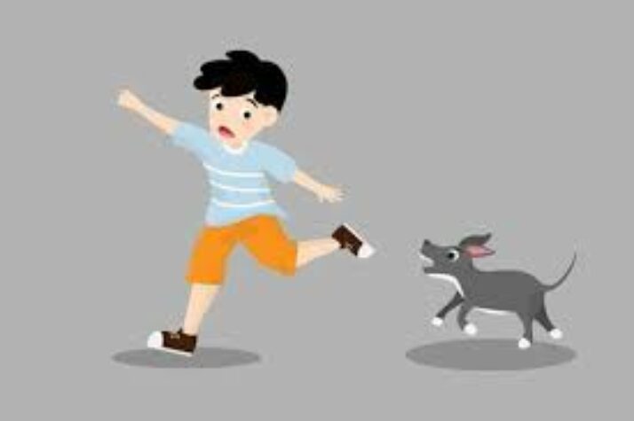 My child was bitten by a dog – what can I do?